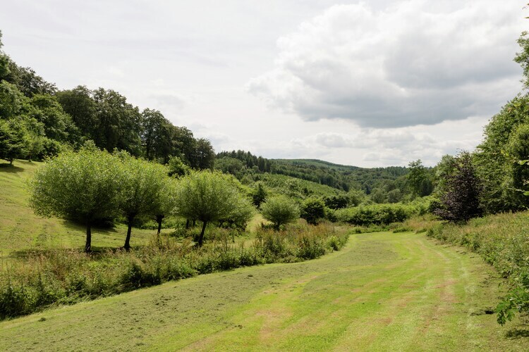 Fermina Daza – Maison 4 chambres, forêt à 100m - Photo 26