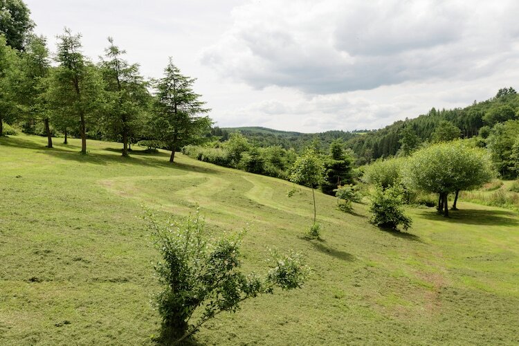 Fermina Daza – Maison 4 chambres, forêt à 100m - Photo 28