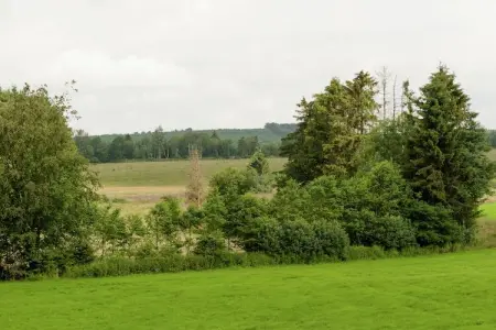 Ecole, Maison à Deiffelt près de la forêt - Photo 32