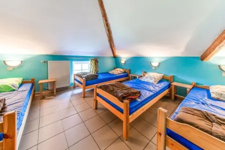 Ferme Sol Batire : gîte 20 pers., sauna et forêt à 100m : photo 24