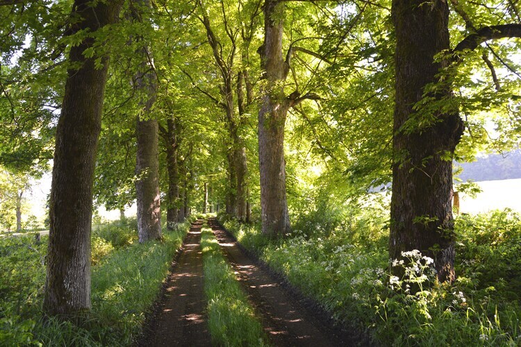 Château La Hetraie – 10 personnes, forêt à proximité - Photo 24