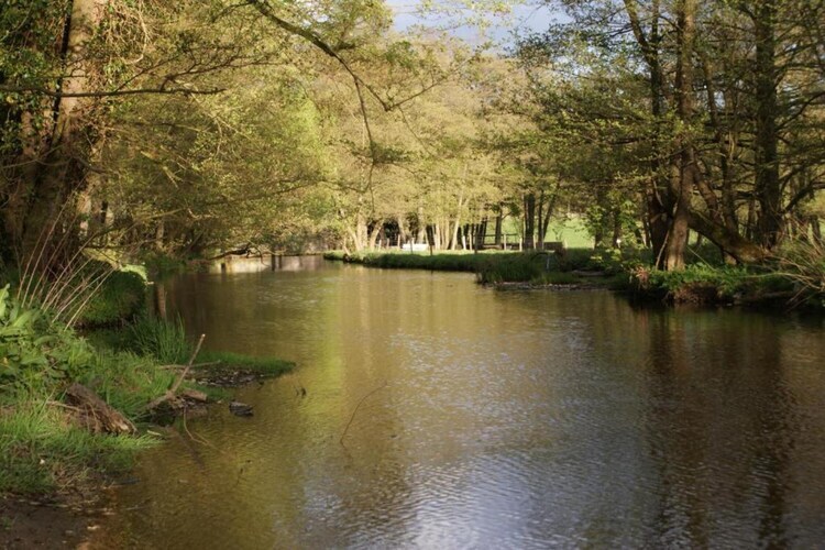Château La Hetraie – 10 personnes, forêt à proximité - Photo 29