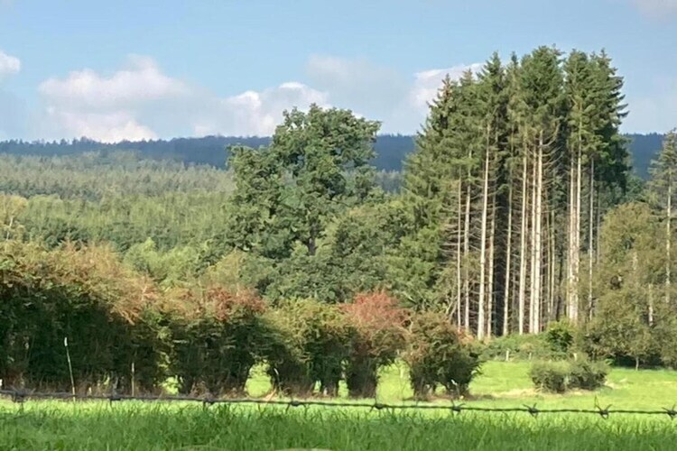 Château La Hetraie – 10 personnes, forêt à proximité - Photo 32