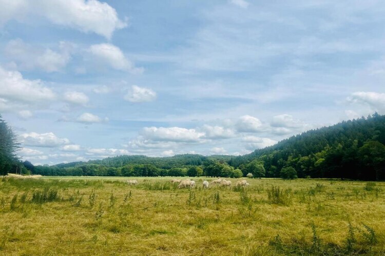 Château La Hetraie – 10 personnes, forêt à proximité - Photo 35