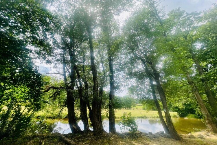 Château La Hetraie – 10 personnes, forêt à proximité - Photo 37