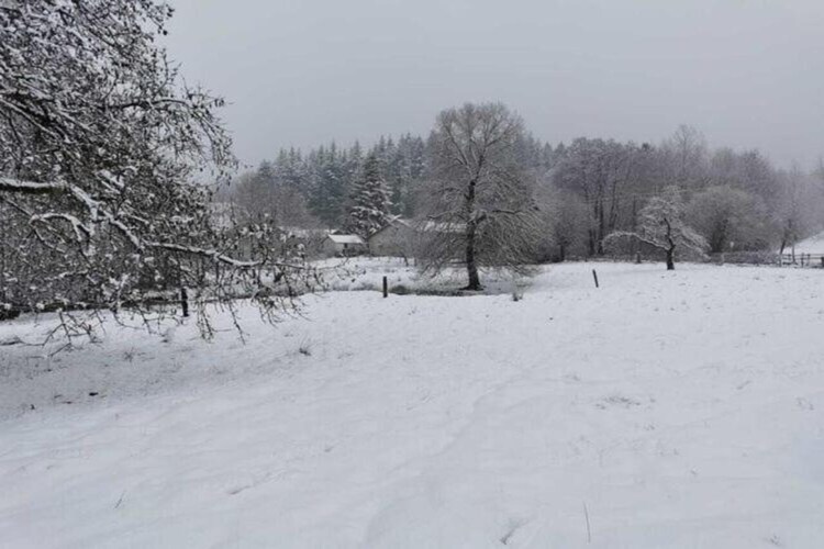 Gîte la Randonnée à Vielsalm, 8 personnes, sauna - Photo 38
