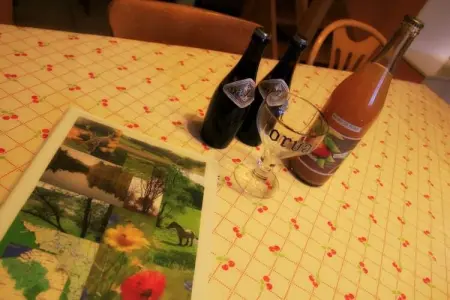 Le Versant, fermette 18ème siècle à Chassepierre : photo 40