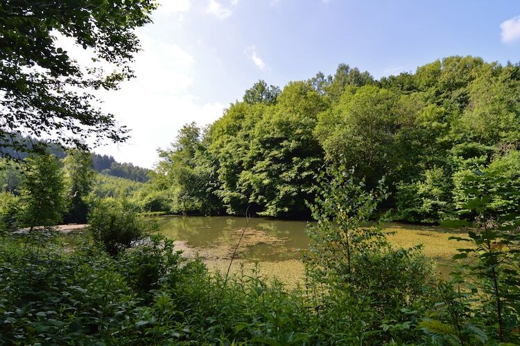 Le Martin Pêcheur – Maison 10 pers. à Bouillon-Noirefontaine - Photo 31