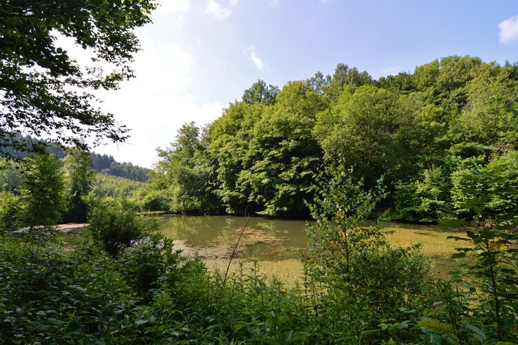 Chalet La Buresse à Bouillon-Noirefontaine, animaux acceptés - Photo 22