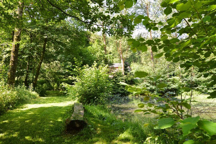 Chalet La Buresse à Bouillon-Noirefontaine, animaux acceptés - Photo 25
