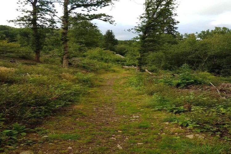 La Source des Bois, Villa de groupe avec sauna - Photo 28