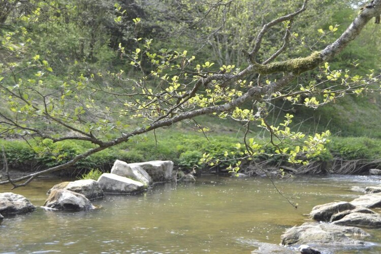 La Source des Bois, Villa de groupe avec sauna - Photo 29