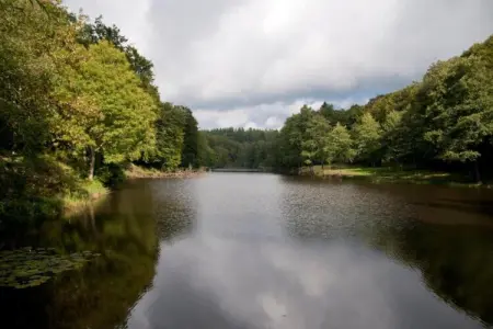 La Source des Bois, Villa de groupe avec sauna : photo 22