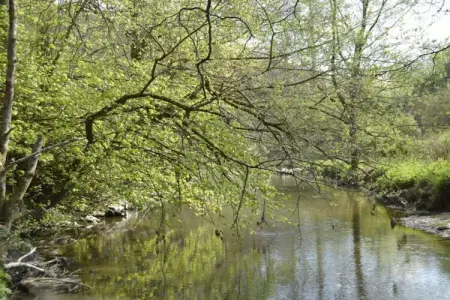 La Source des Bois, Villa de groupe avec sauna : photo 27
