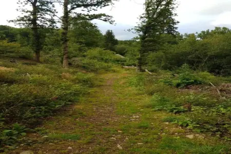 La Source des Bois, Villa de groupe avec sauna : photo 28