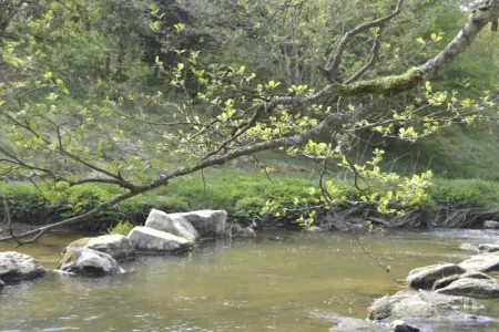 La Source des Bois, Villa de groupe avec sauna : photo 29