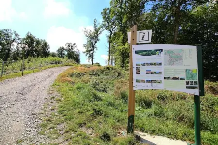 Gîte des Alouettes : maison 9 pers., sauna et terrain de pétanque : photo 29