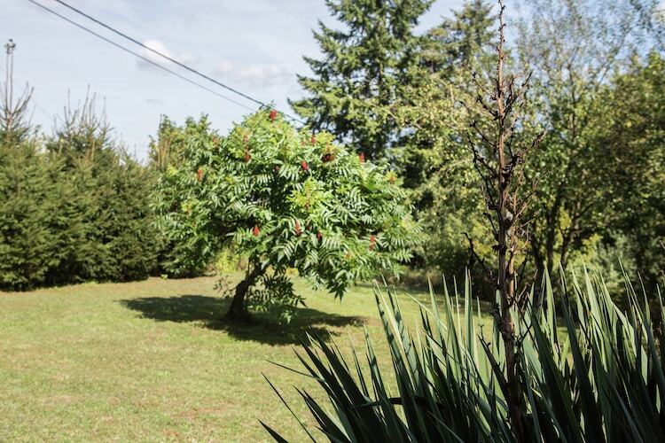 Villa Agni 25 – 10 chambres, 25 personnes à Barvaux - Photo 30