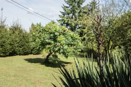 Villa Agni 25 – 10 chambres, 25 personnes à Barvaux : photo 30