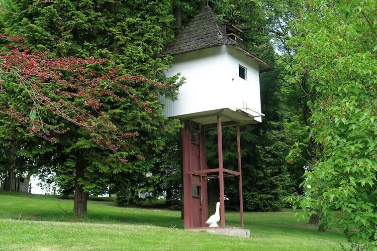 Maison Trou de Reinard - Forêt & nature à Bohon-Durbuy - Photo 22