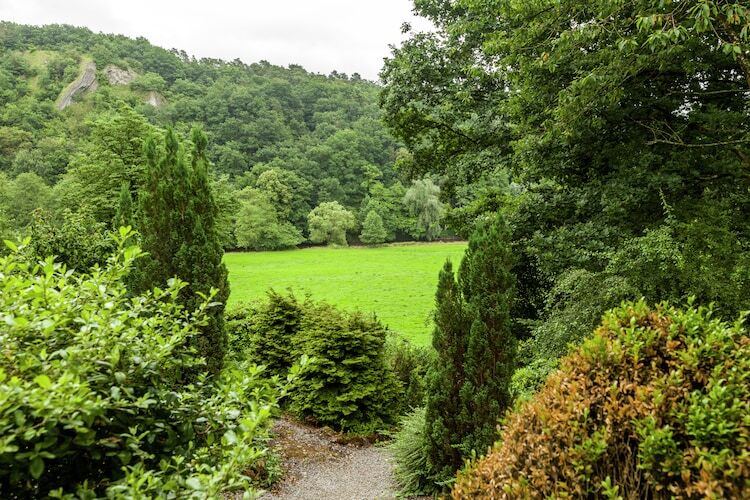 Maison Trou de Reinard - Forêt & nature à Bohon-Durbuy - Photo 25