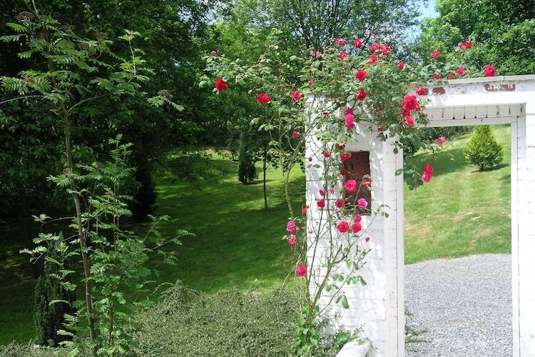 Maison Trou de Reinard - Forêt & nature à Bohon-Durbuy - Photo 34