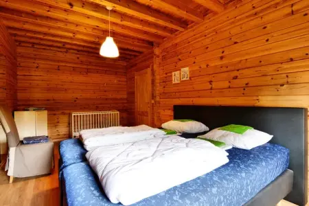 Chalet Reinhilde, 14 pers. avec sauna et salle de jeux : photo 22