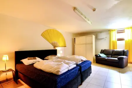Chalet Reinhilde, 14 pers. avec sauna et salle de jeux : photo 29