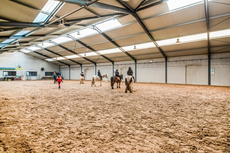 Ecurie du Warlet – Gîte 20 pers. avec boxes chevaux - Photo 35