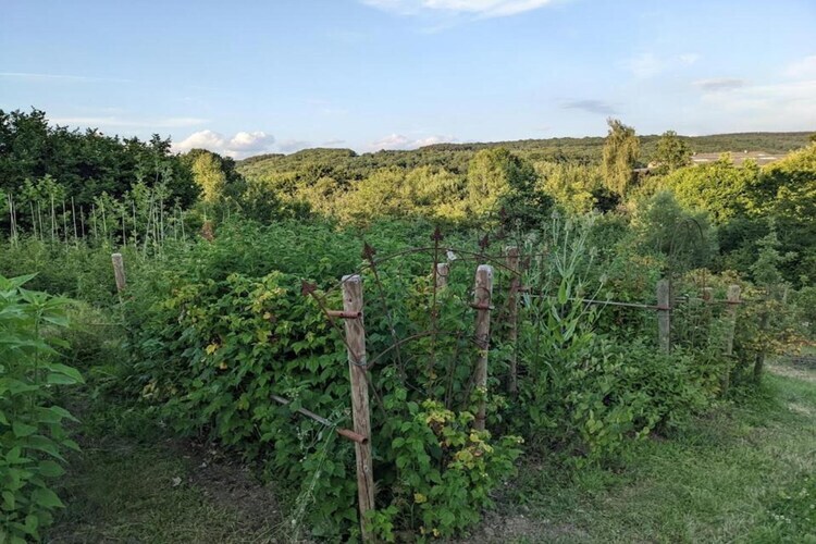 La Luna, gîte 9 personnes à Tenneville - Photo 33