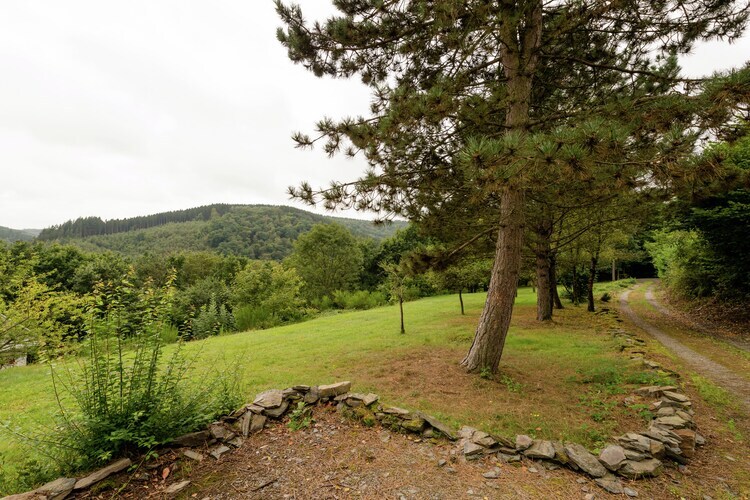 Le Chession, chalet 6 pers. à 100 m de la forêt - Photo 16