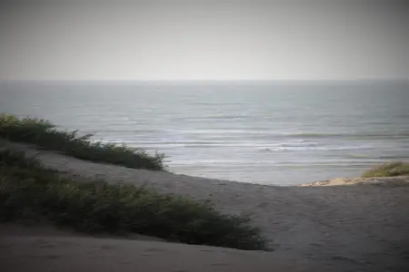 Polderhouse : maison 4 pers. à 1 km de la mer : photo 31
