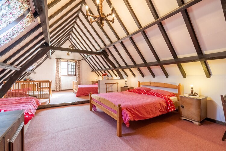 Ferme de Meersen – 10 personnes, jardin rénové - Photo 24