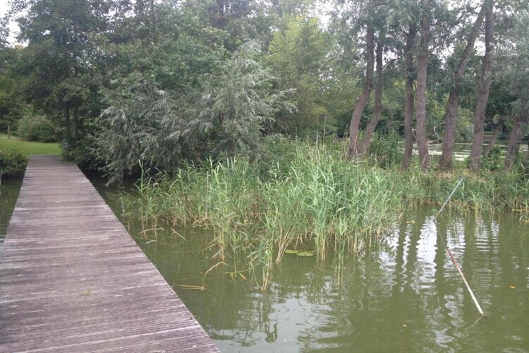 Maison de campagne 't Granzeke - 9 pers., 4 ch. - Photo 28
