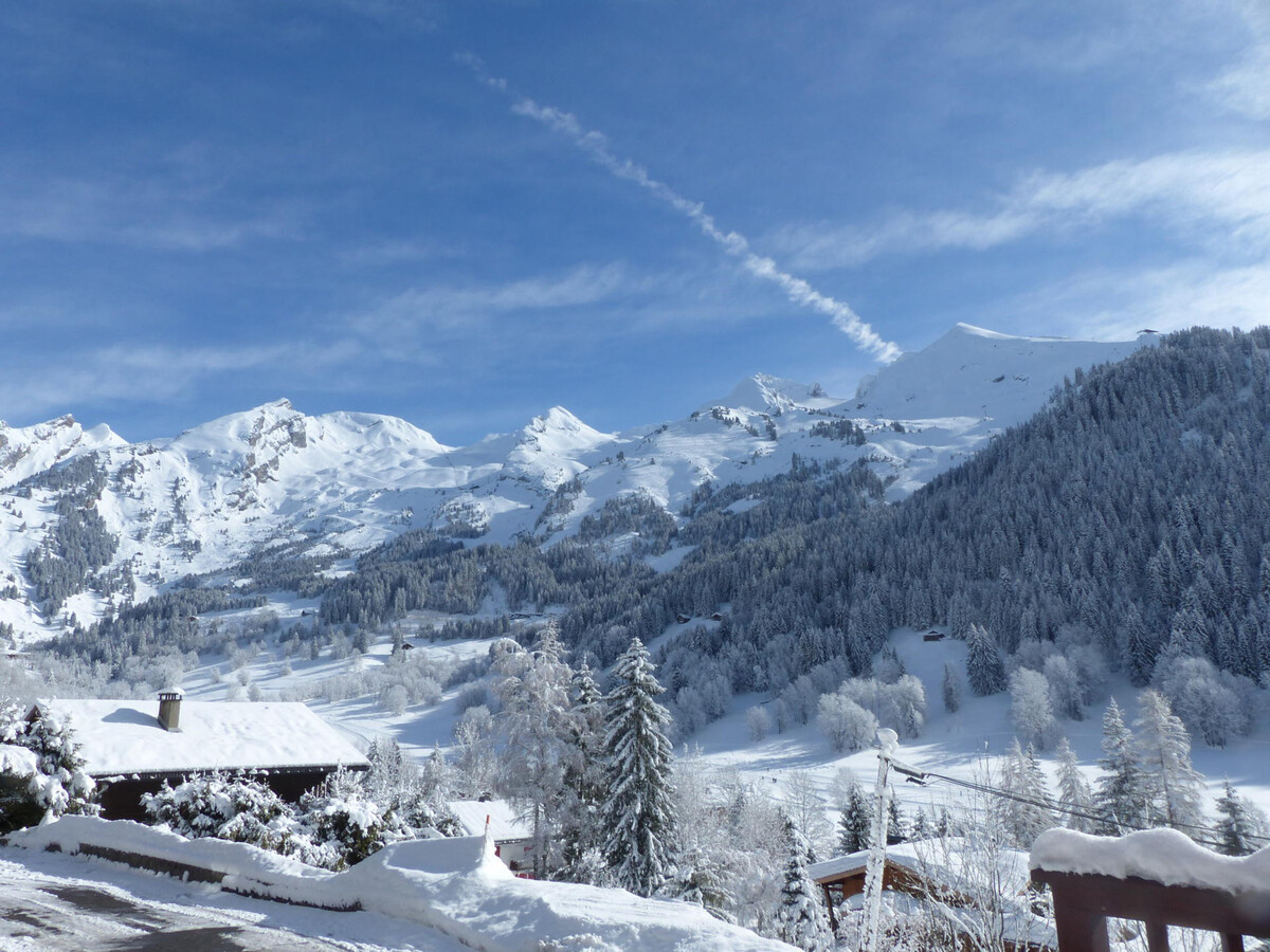 Appartement 3 ch, 8 pers à La Clusaz, garage et balcon - Photo 15