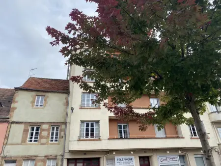 Appartement Liberté à Moulins : balcon, draps inclus : photo 11