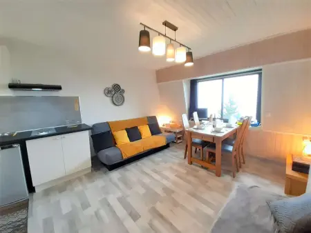 Chalet cosy 4 pers à 800m des pistes - TV, kitchenette équipée, navette gratuite vacances. - Photo 2