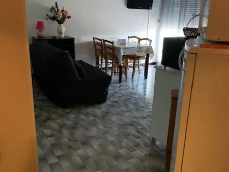 Location appartement à Balaruc les Bains, Appartement 1 chambre proche des Thermes - Animaux admis