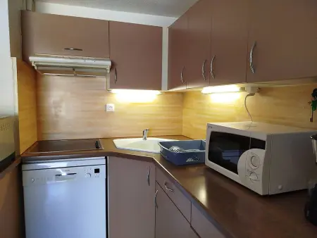 T2 cabine avec terrasse Sud et parking à Saint-Cyprien, accès Marina : photo 10