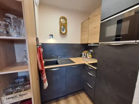 T3 46m² vue montagne balcon sud-est, animaux OK : photo 5