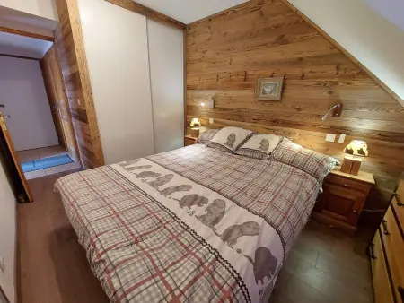 T3 46m² vue montagne balcon sud-est, animaux OK : photo 9