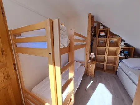 T3 46m² vue montagne balcon sud-est, animaux OK : photo 10