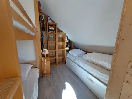 T3 46m² vue montagne balcon sud-est, animaux OK : photo 11