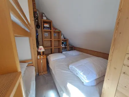 T3 46m² vue montagne balcon sud-est, animaux OK : photo 12