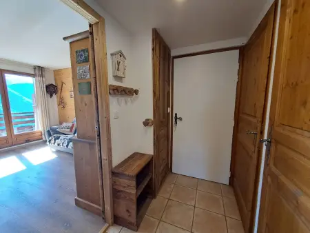 T3 46m² vue montagne balcon sud-est, animaux OK : photo 13