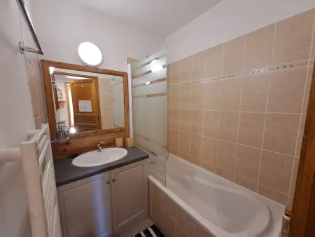 T3 46m² vue montagne balcon sud-est, animaux OK : photo 14