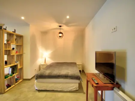 Studio 43m² Morzine, navette pistes à 200m, cour privée : photo 2