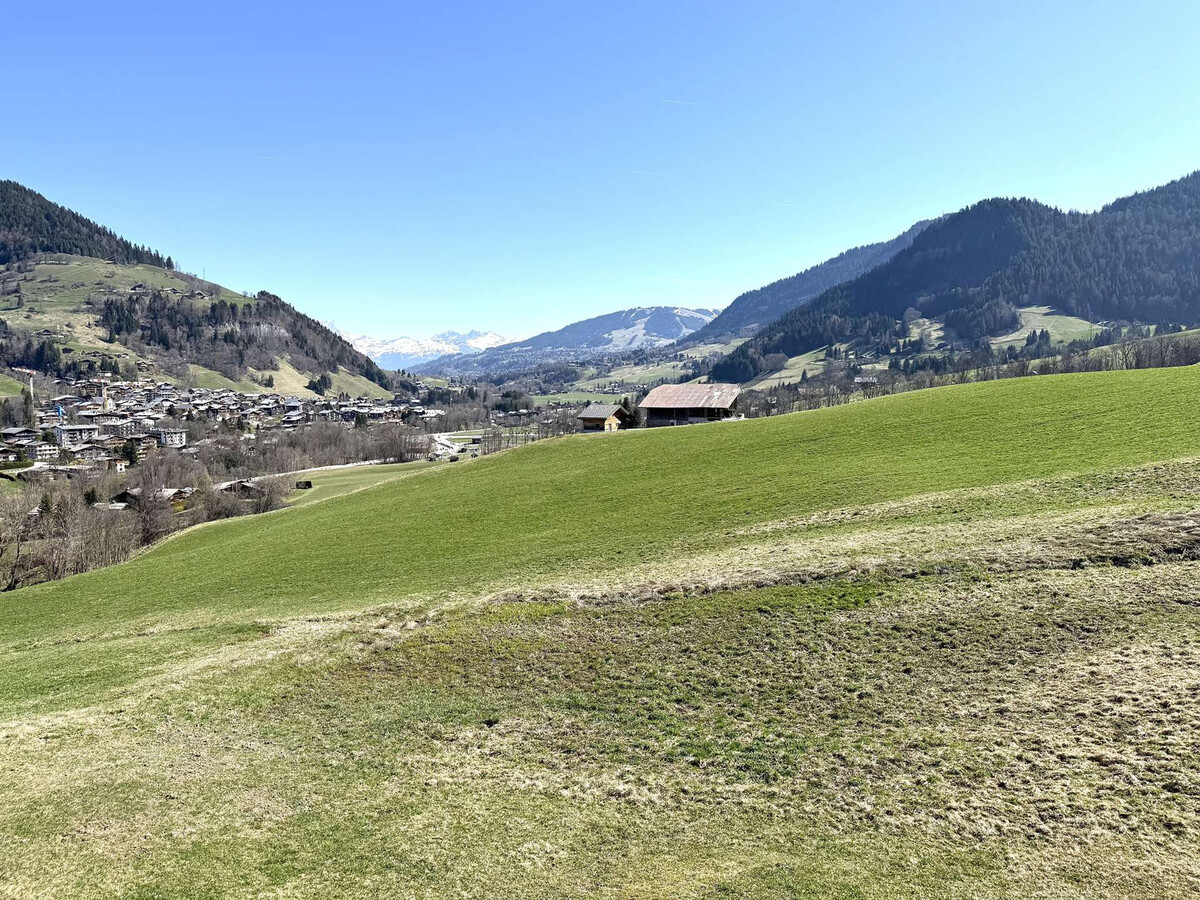 Appartement 2 pièces Praz-sur-Arly, vue pistes, parking - Photo 16
