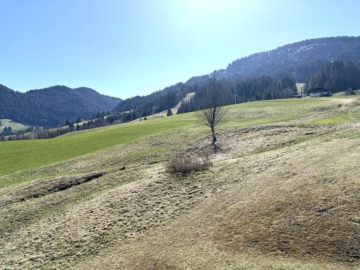 Appartement 2 pièces Praz-sur-Arly, vue pistes, parking - Photo 17