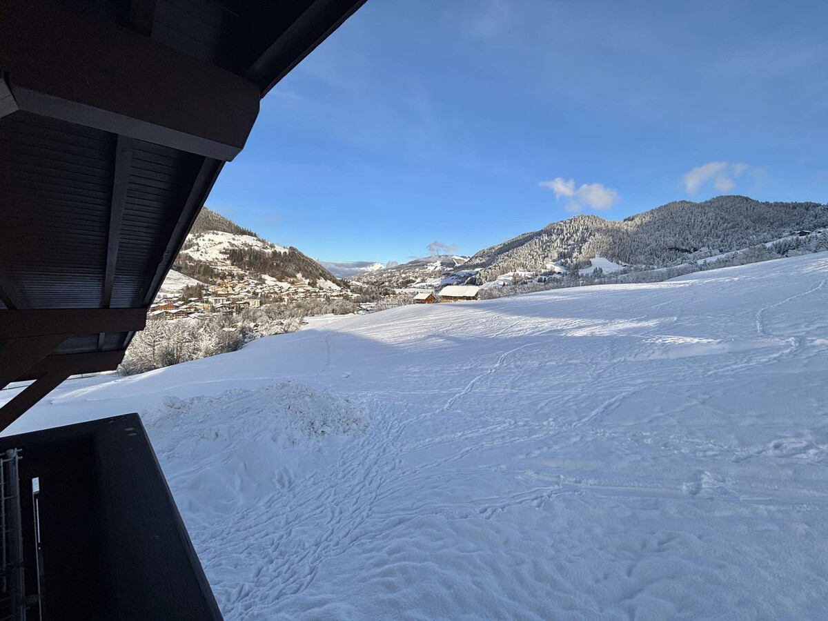 Appartement 2 pièces Praz-sur-Arly, vue pistes, parking - Photo 18